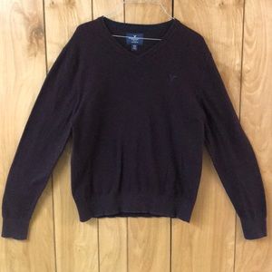 American Eagle Outfitters Burgundy V-Neck Sweater